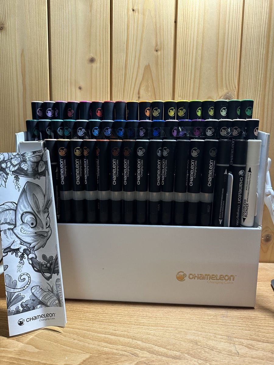 Penna & Evidenziatori: Chameleon Stifte Set - Neuwertig – Nuovo (secondo la descrizione) da Jona venduto da Michi8645