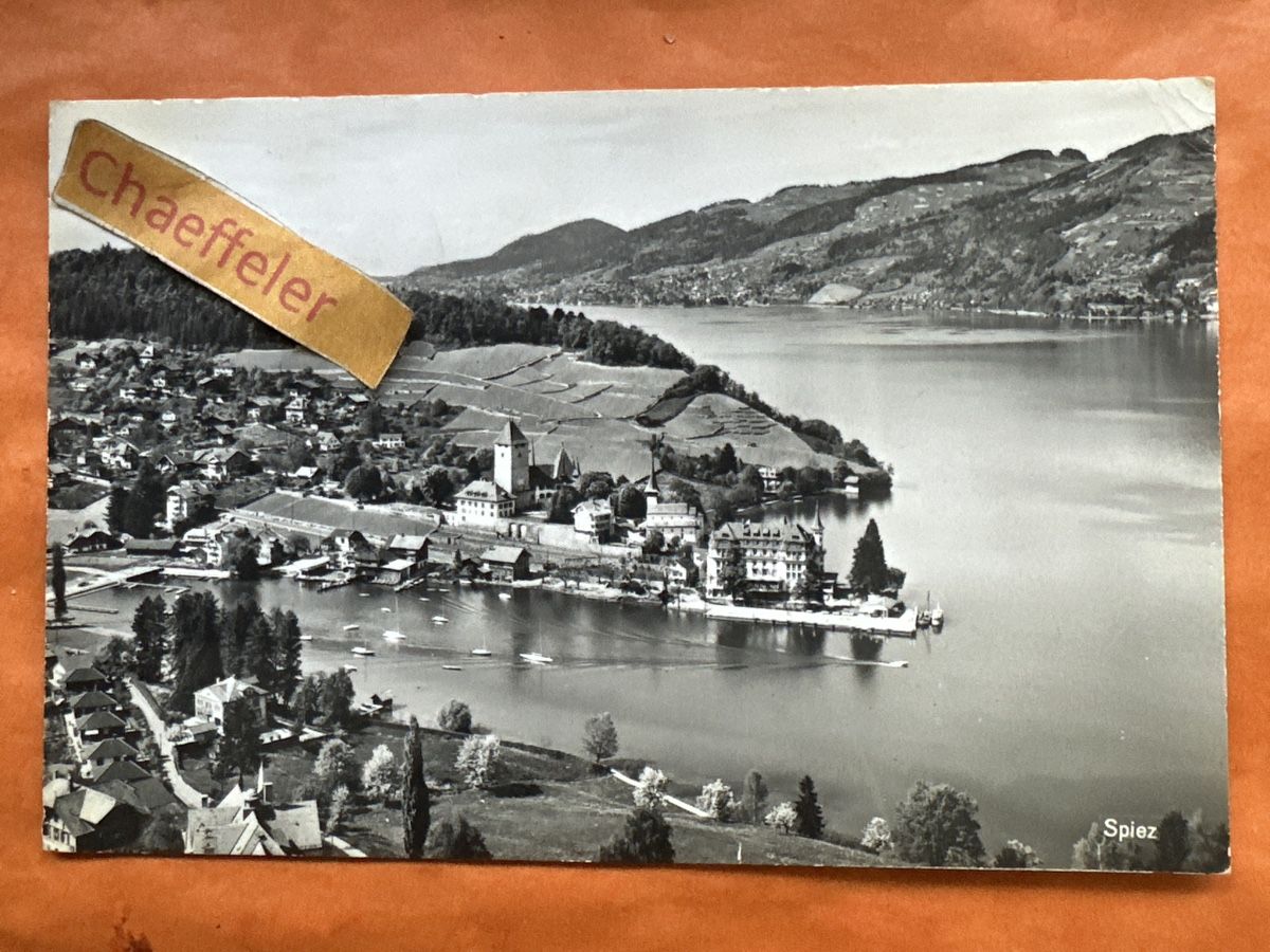 Ansichtskarten: 1959 Spiez – Gebraucht aus Zürich von Chaeffeler