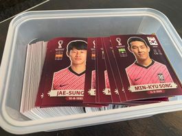 Panini WM 2022 / 169 einzelne Bilder / siehe Liste
