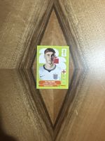 Panini WM 2026 Palmer ENG 12