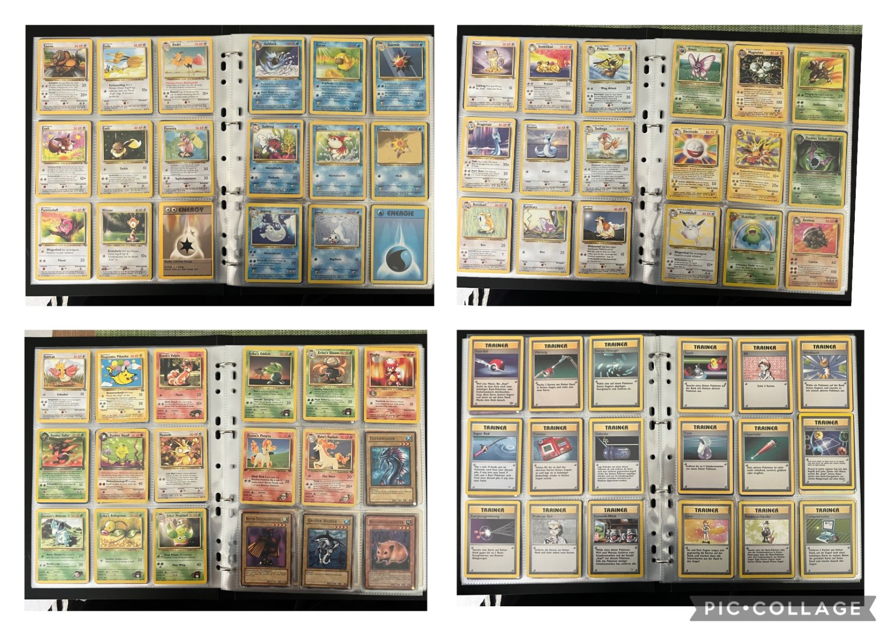 Pokémon Carte collezionabili: Pokemon Karten Sammlung – Usato da Muttenz venduto da RYEN4 5