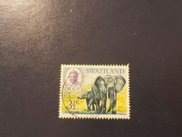 Swaziland Briefmarke Elefant