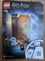 LEGO Harry Potter 76382 Buch