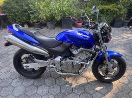 Schöne und gepflegte Honda Hornet