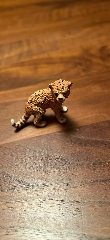 Statuette: Schleich Gepard Baby – Usato da Uster venduto da cut_7g79