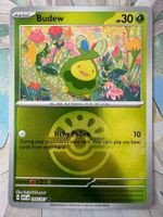 Pokémon TCG – Budew Friend Ball Pattern (ASC016)