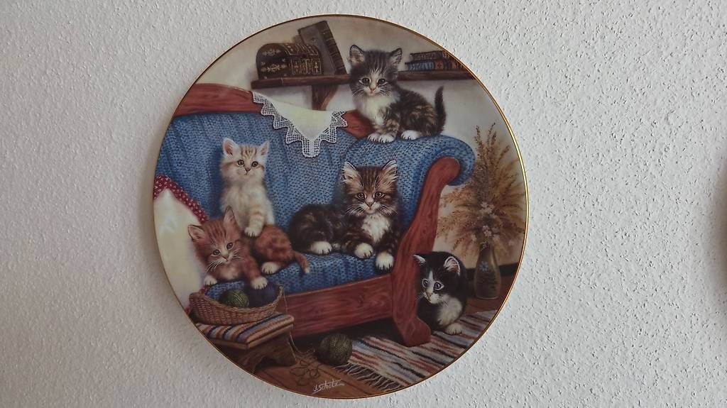 Piatti: Sammlerteller Katzen / Jürgen Scholz 1 – Usato da Worb venduto da Soan67