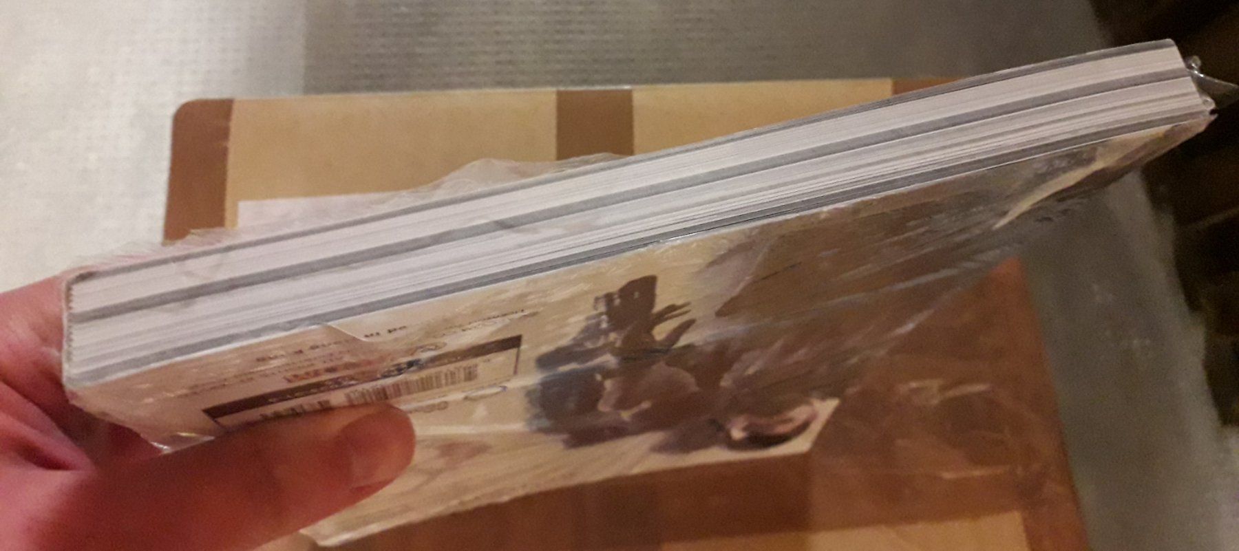 Bücher: Resident Evil 6 Artworks – Neu und originalverpackt aus Basel von QUER13 7