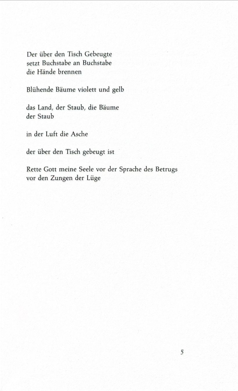 Libri: Tuvia Rübner, Wüstenginster – Nuovo (secondo la descrizione) da Sarnen venduto da Livres 6