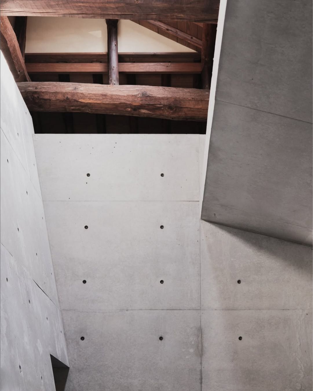 Foto & Immagini: Architektur Bild - Tadao Ando Museum – Nuovo (secondo la descrizione) da Zürich venduto da richarizla 1