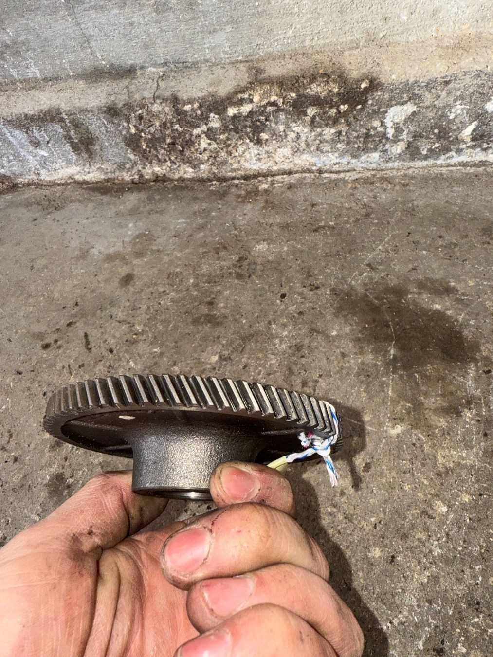 Sachs Parti ricambio per ciclomotori: Sachs 503 Mofa Getrieberad – Usato da Fahrni b. Thun venduto da berger_tuning34 3