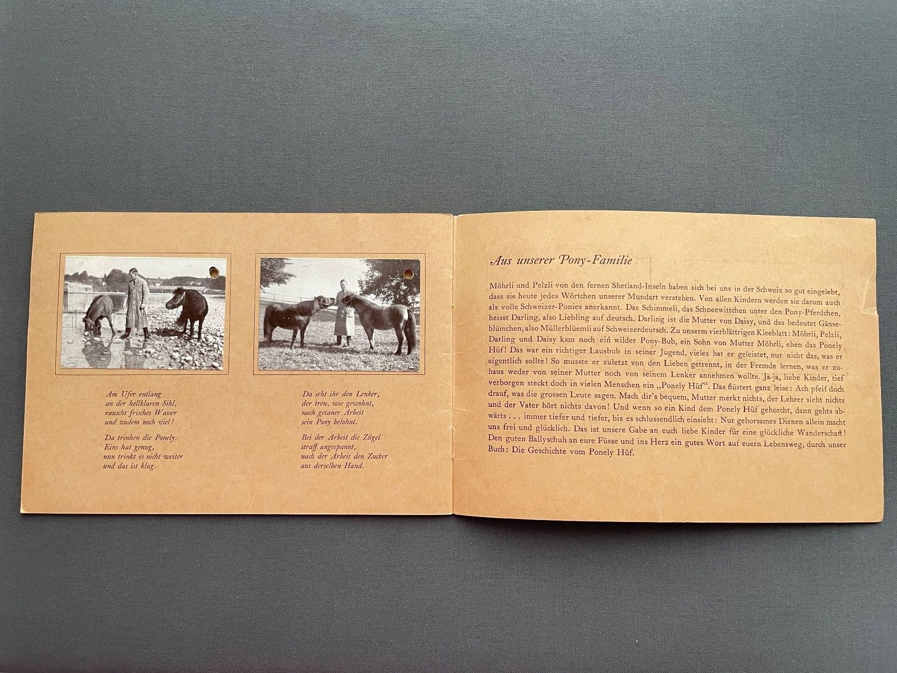 Album: Bally, Pony Album – Usato da Winterthur venduto da Myrtillus 2
