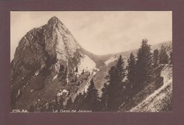 DENT DE JAMAN