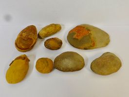 ungeöffnete Knollen EISENSTEIN FOSSIL MAZON CREEK USA