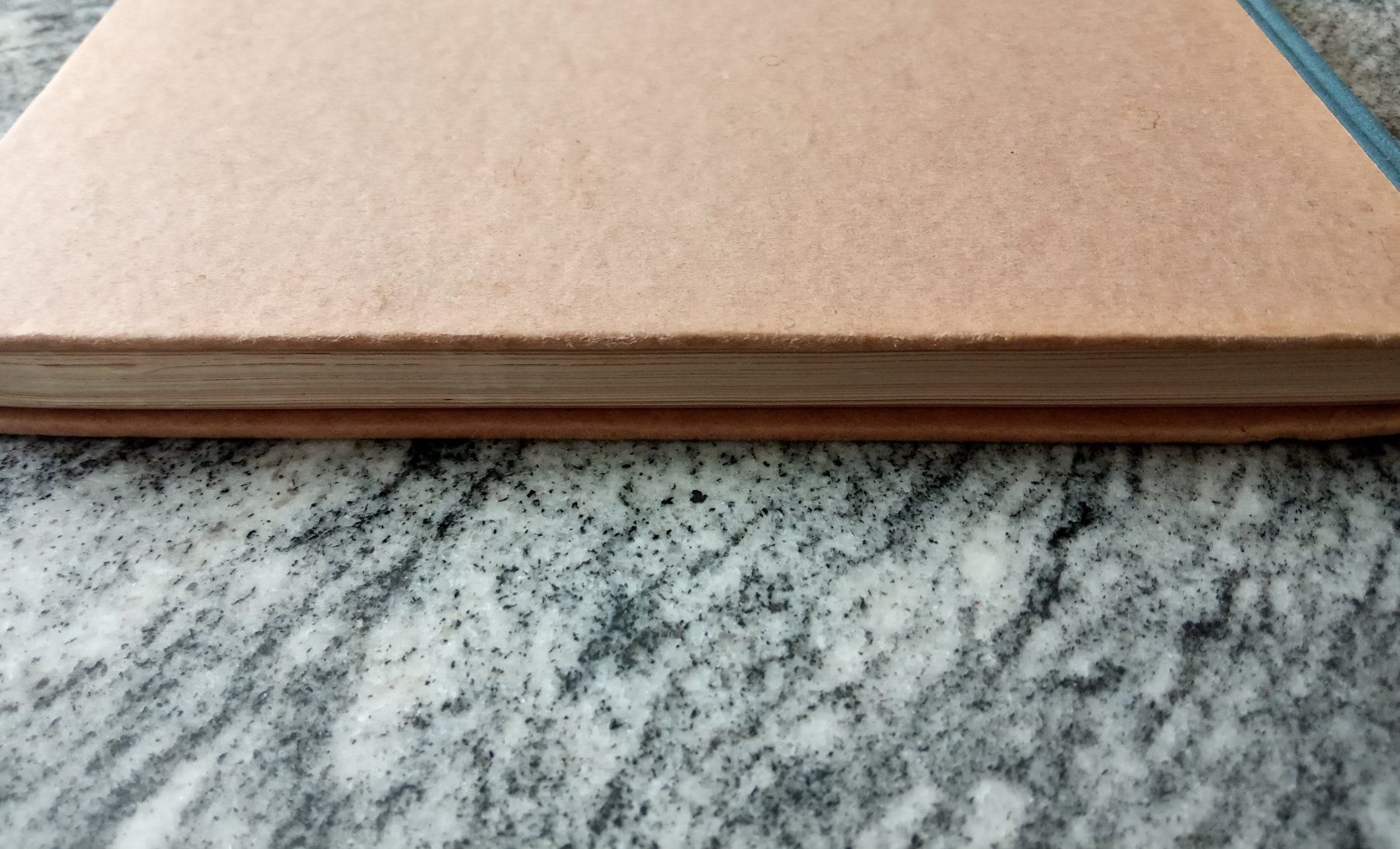 Libri: GIOVANNI SEGANTINI, 1919 – Usato da Chur venduto da Nisami 6