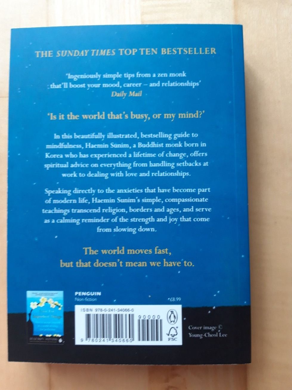 Libri: Buch: The Things You can see only when your slow down – Nuovo (secondo la descrizione) da Liebefeld venduto da Fireball85 1