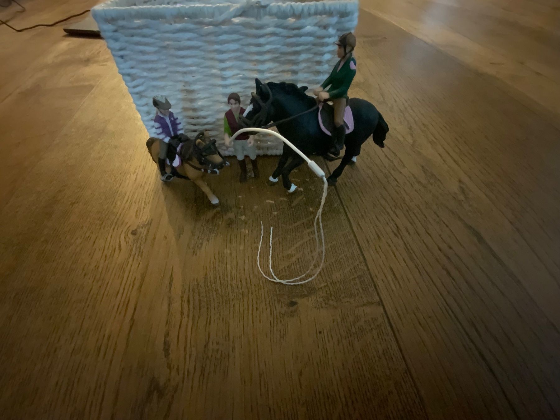 Schleich Giocattoli: Schleich Reitstunde – Usato da Steffisburg venduto da Kunchr 2