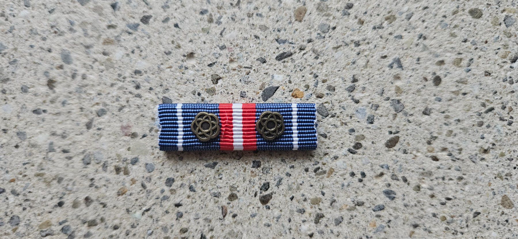 Schweizer Armee Placchette & Badge: *** Diensttage Ribbon *** – Usato da Riedholz venduto da fr_sIruP