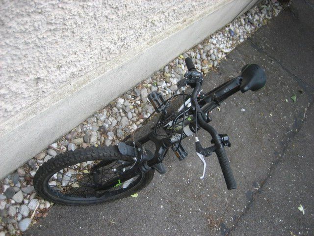 Biciclette: Kindervelo Gecko 2.0 / 20 Zoll – Usato da Winterthur venduto da pf02 4