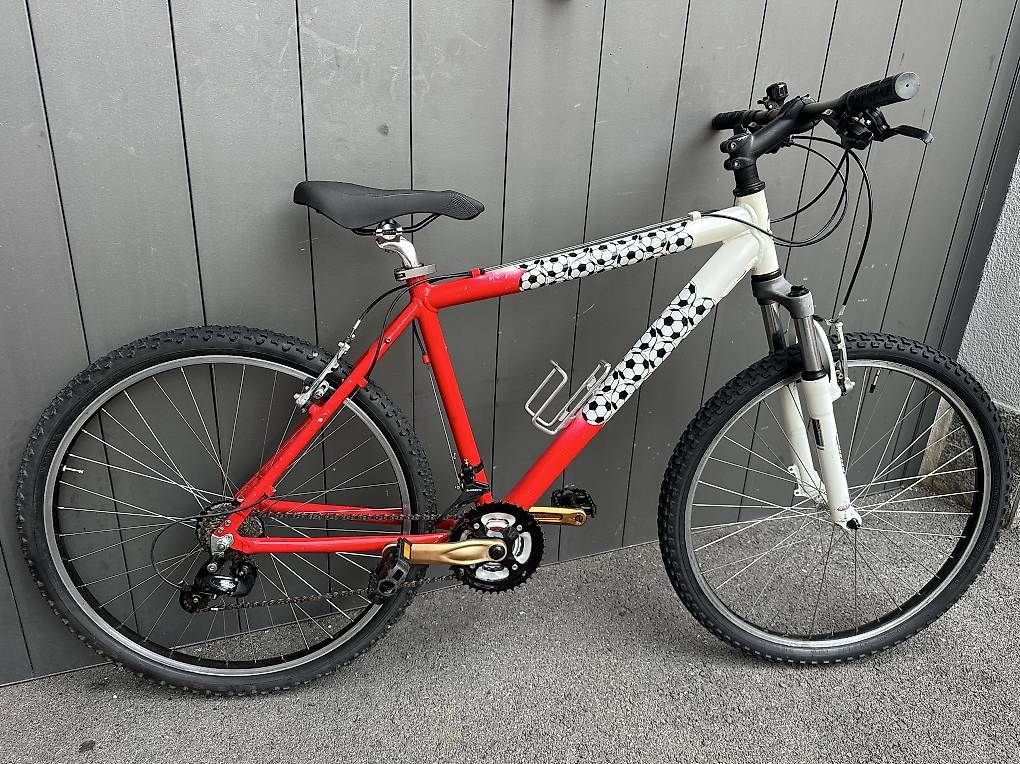 Biciclette: Bicicletta MTB 26  – Usato da Quartino venduto da DiloUsato 2