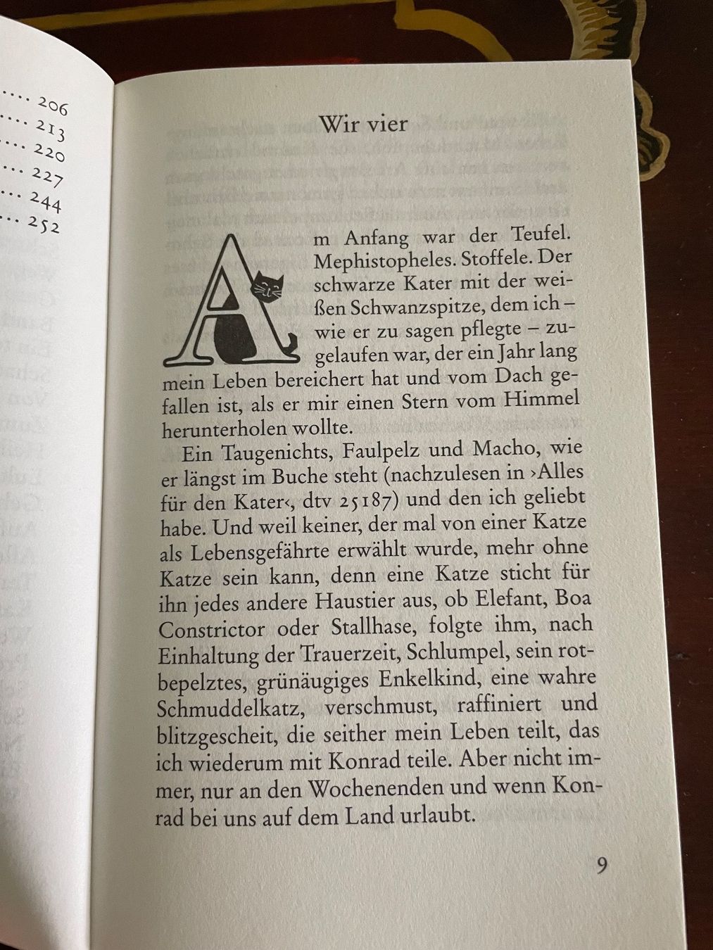 Libri: Katzen Roman von Eva Berberich – Nuovo (secondo la descrizione) da Emmenbrücke venduto da Ladyboutique 5
