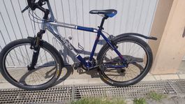 Mondia Mounty Fahrrad gebraucht