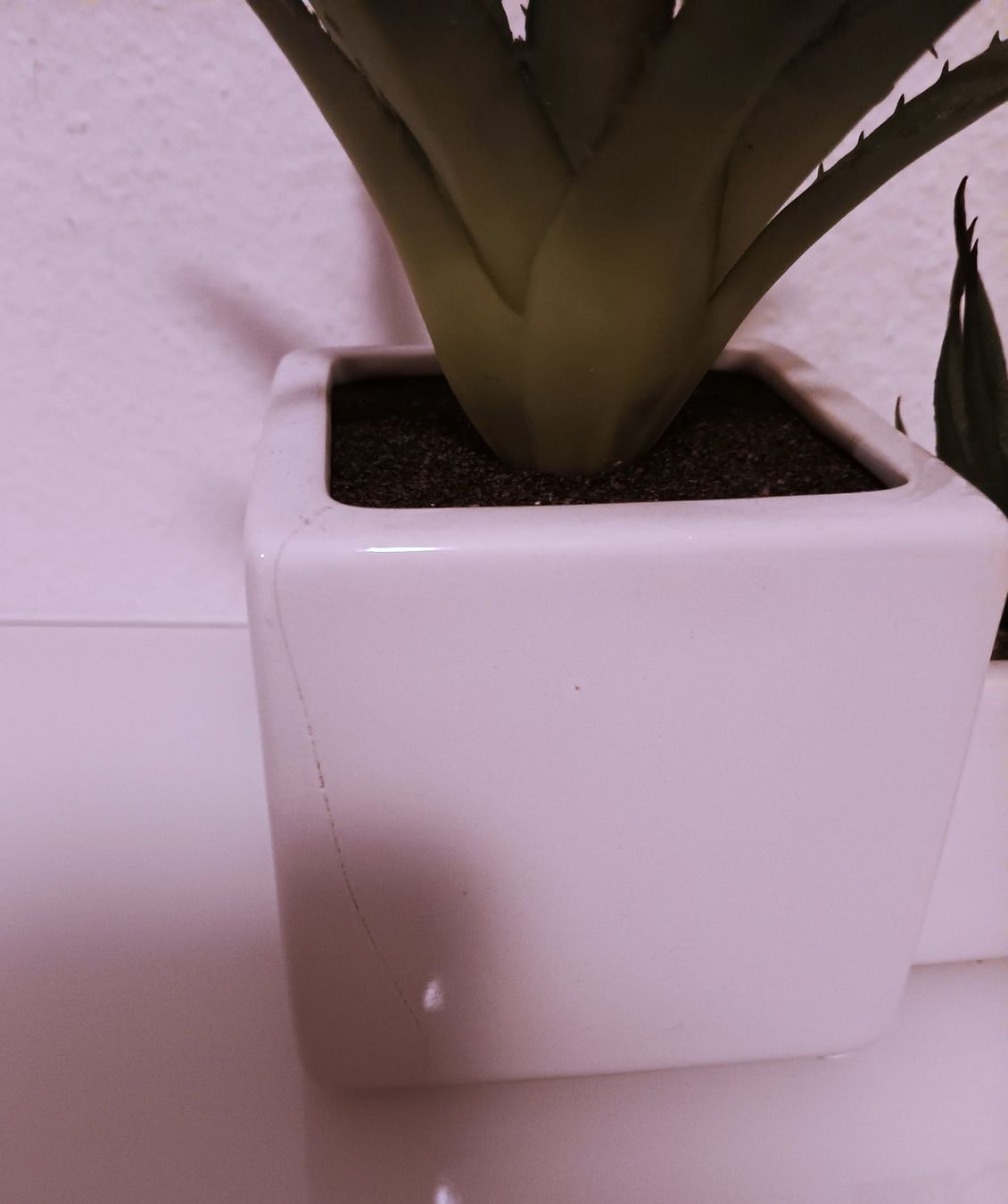 Piante & sementi: 3er Kunstpflanzen Topf-Set – Usato da Aarau venduto da Yeeaaah 1