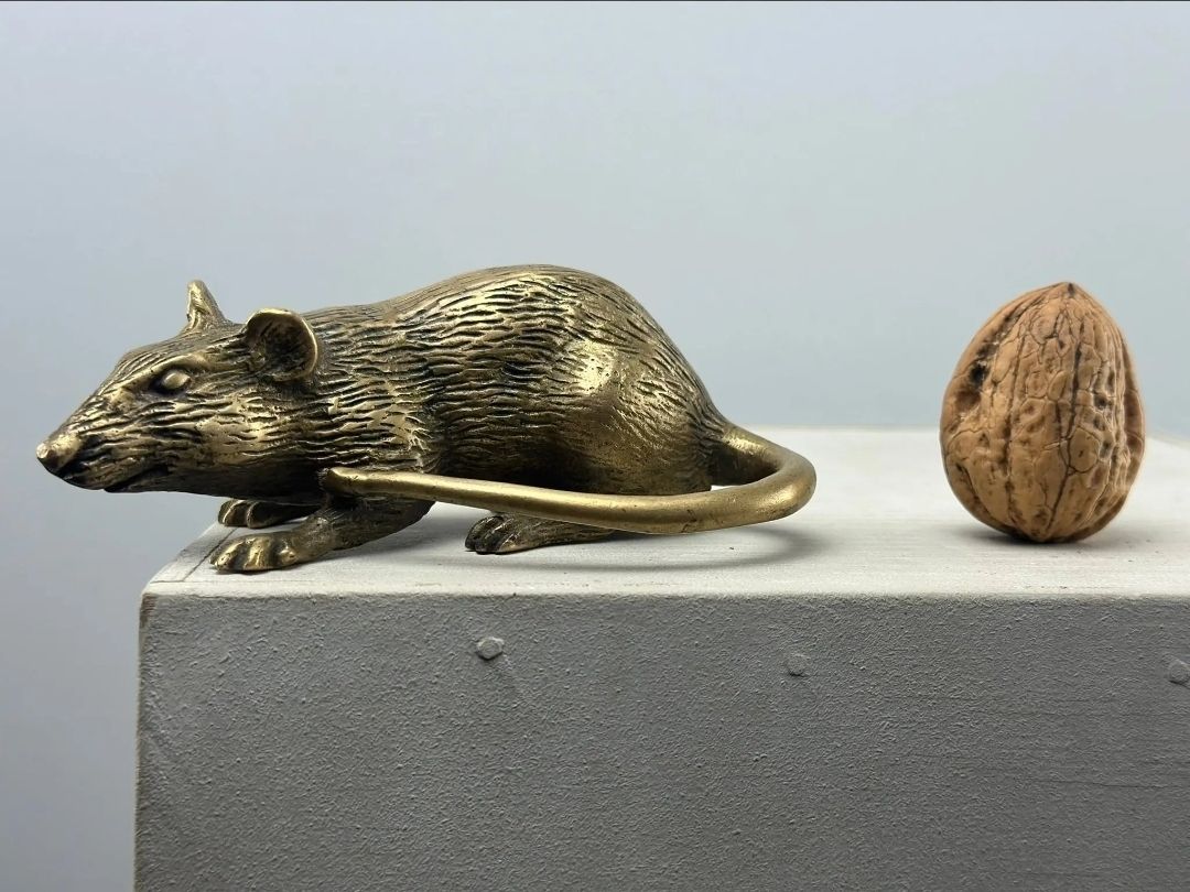 Statuette: Rat en bronze – Nuovo (secondo la descrizione) da Lausanne venduto da Toko_Lausanne 2
