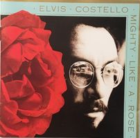 Elvis Costello – Mighty like a rose