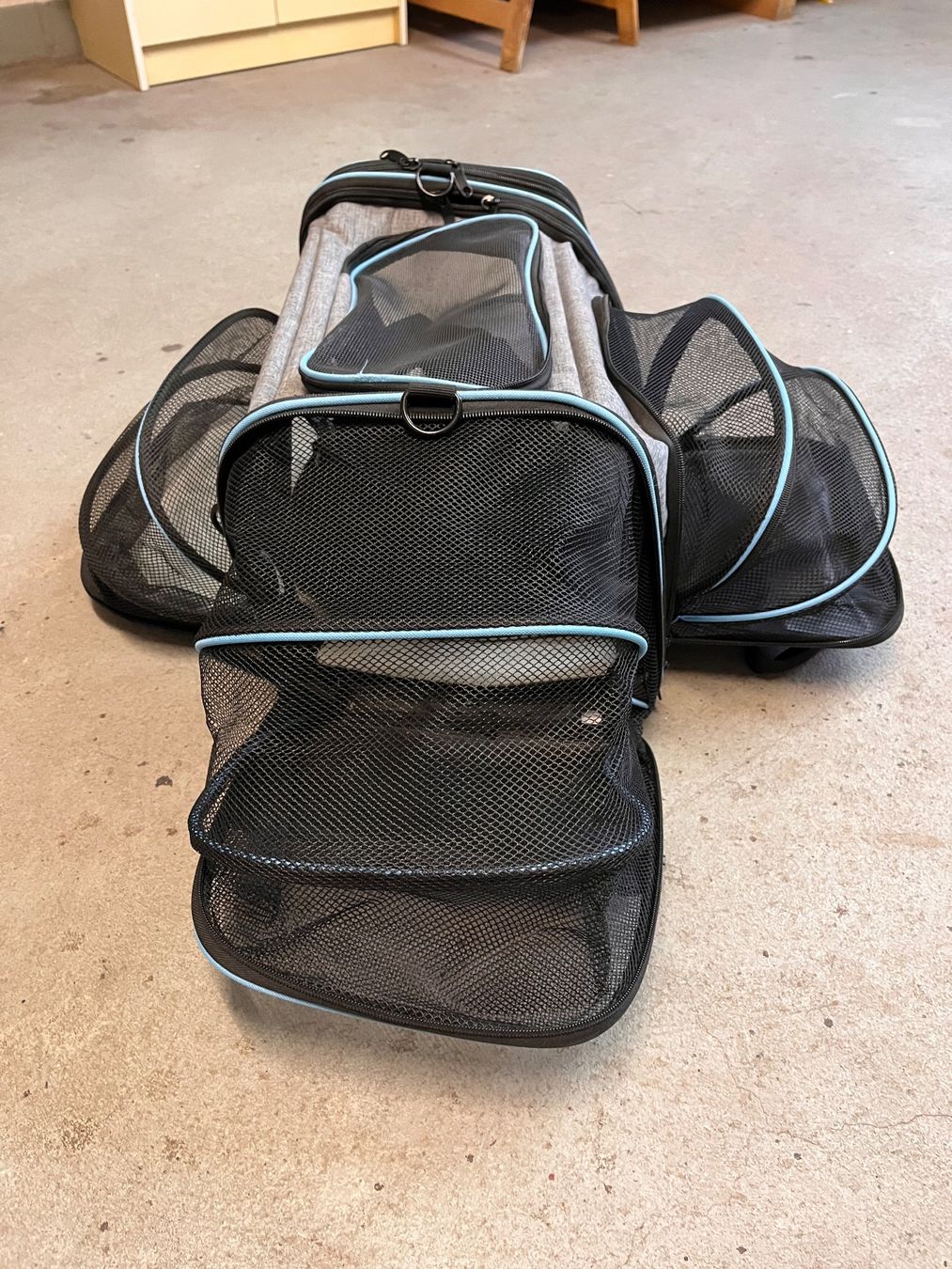 Sacs: Hundetasche – D'occasion à Rüschegg Heubach par Pimpolino13 4