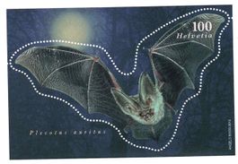 Bloc chauve-souris 2012