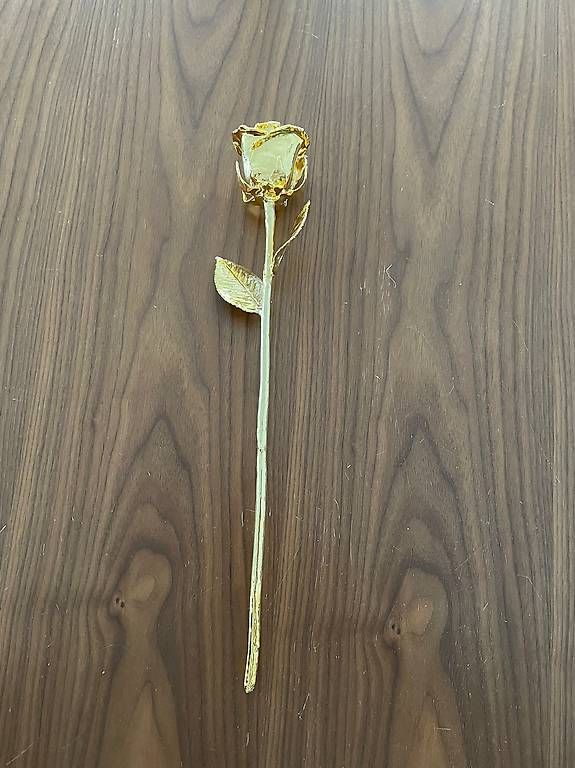 Tutte le decorazioni: Goldrose 43cm – Usato da Merenschwand venduto da exclusive4you5634 2