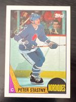 Peter Stastny Quebec Nordiques NHL Slowakischer Super Star