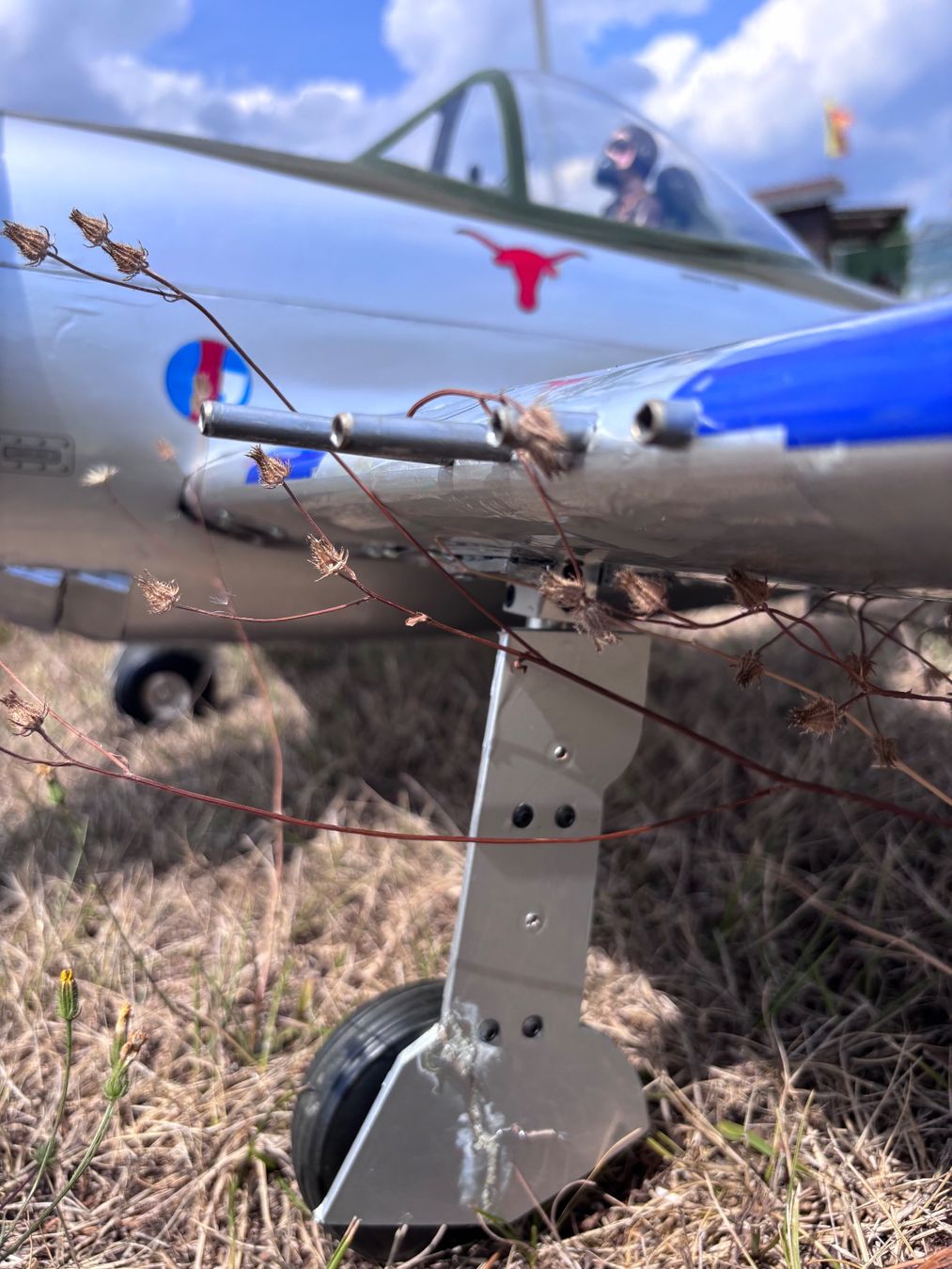 RC Modellbau: P47 Thuderbolt Phœnix 164 cm envergure – Gebraucht aus Genève von Sabgoblin 8