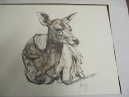 Original Lithographie FRITZ HUG Rehkitz