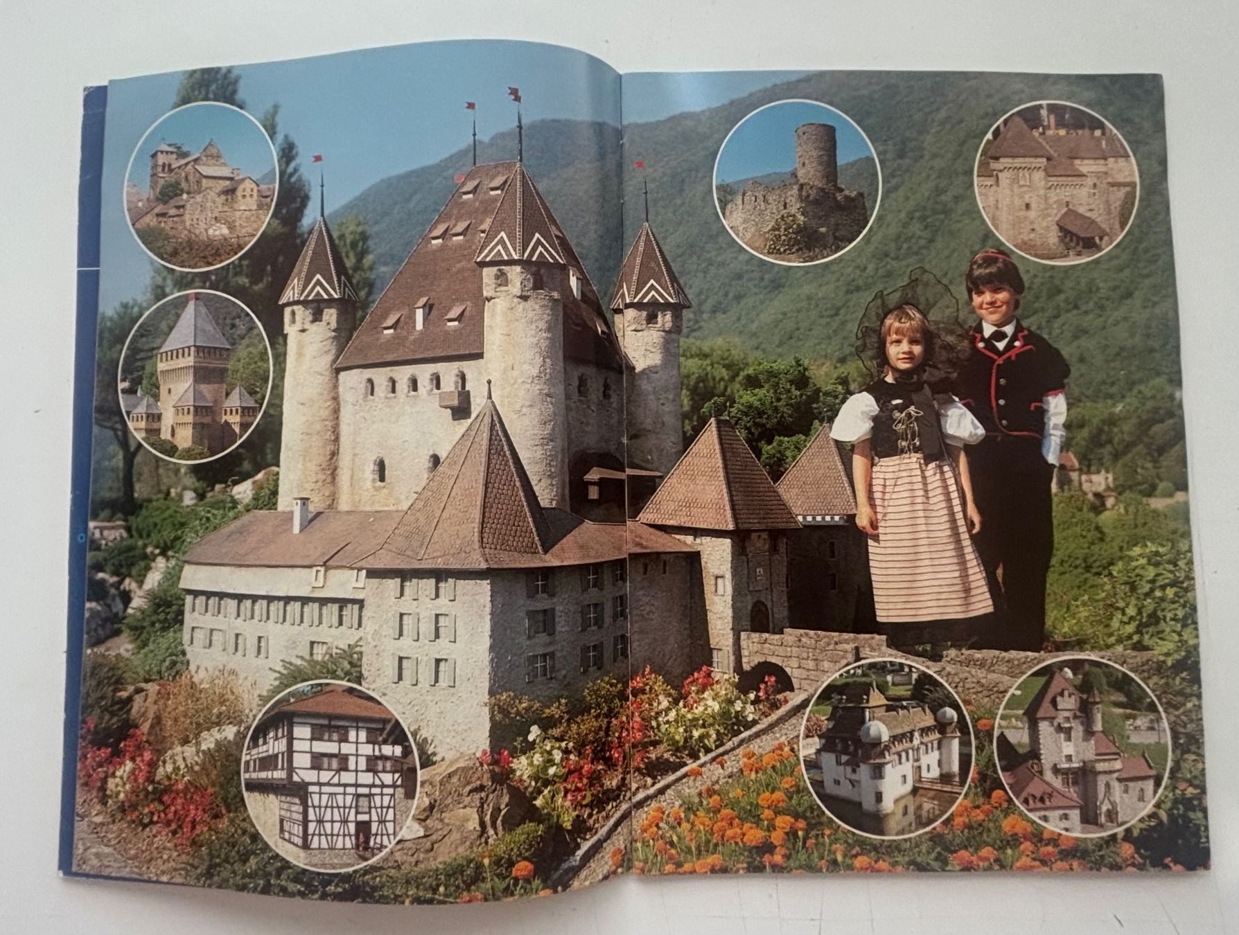 Libri: Swissminiatur Melide – Usato da Neuchâtel venduto da gefdeneuch 4