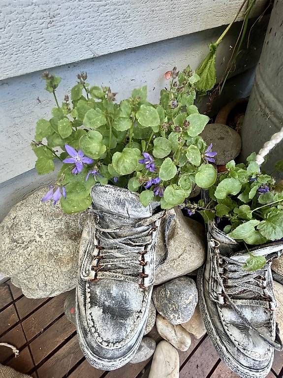 Scarpe da uomo: Blumenschuhe Grösse 44 – Usato da Frauenfeld venduto da Irene.Schuppli 1