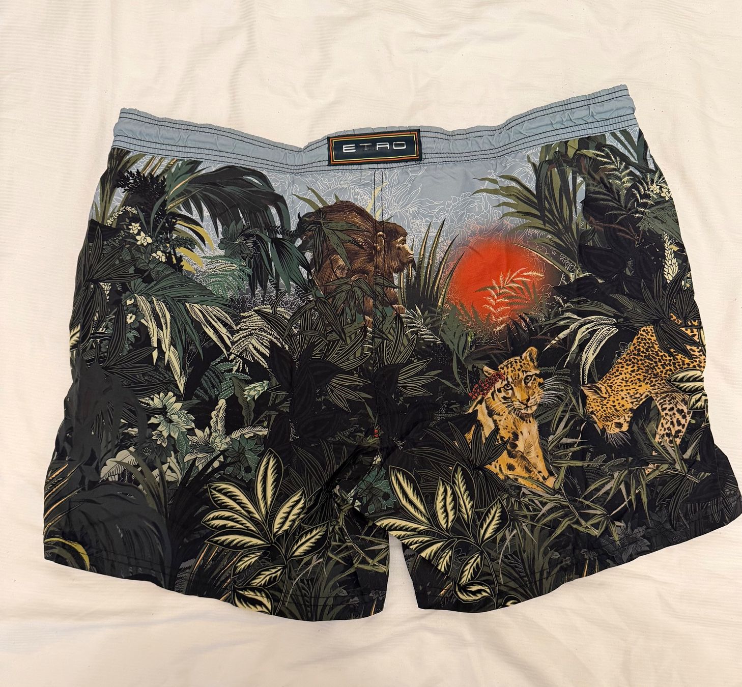 Badehosen: ETRO Badehose Herren - Grösse L – Gebraucht aus Zürich von Ensonador 1