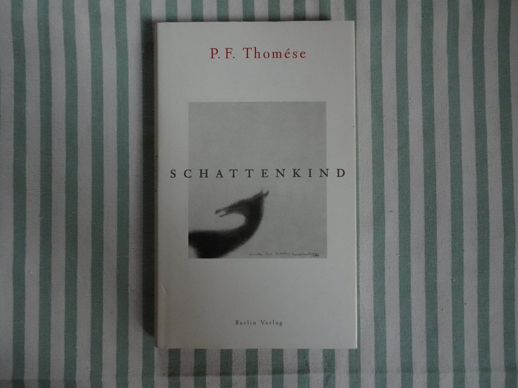 Libri: P. F. Thomése - Schattenkind - B807 – Usato da Küssnacht am Rigi venduto da Bookslove-Divers