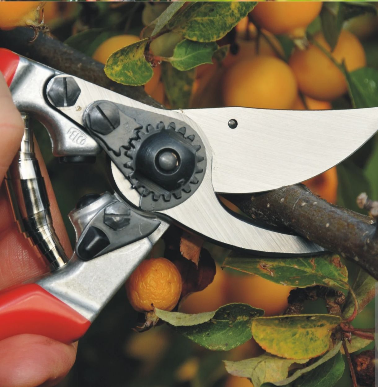 Felco Alle Werkzeuge: Felco 9 Garten- Astschere Linkshänder  – Neu (gemäss Beschreibung) aus Pfäffikon ZH von msc_5k68 2