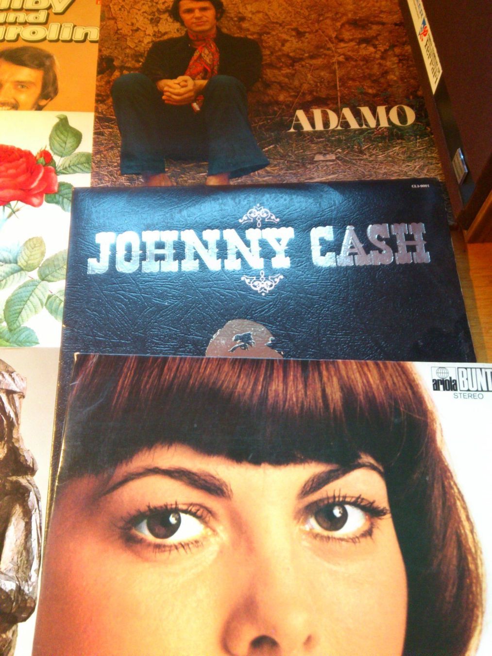 Dischi in vinile: 65 Langspielplatten – Usato da Grenchen venduto da Schlussliecht 2