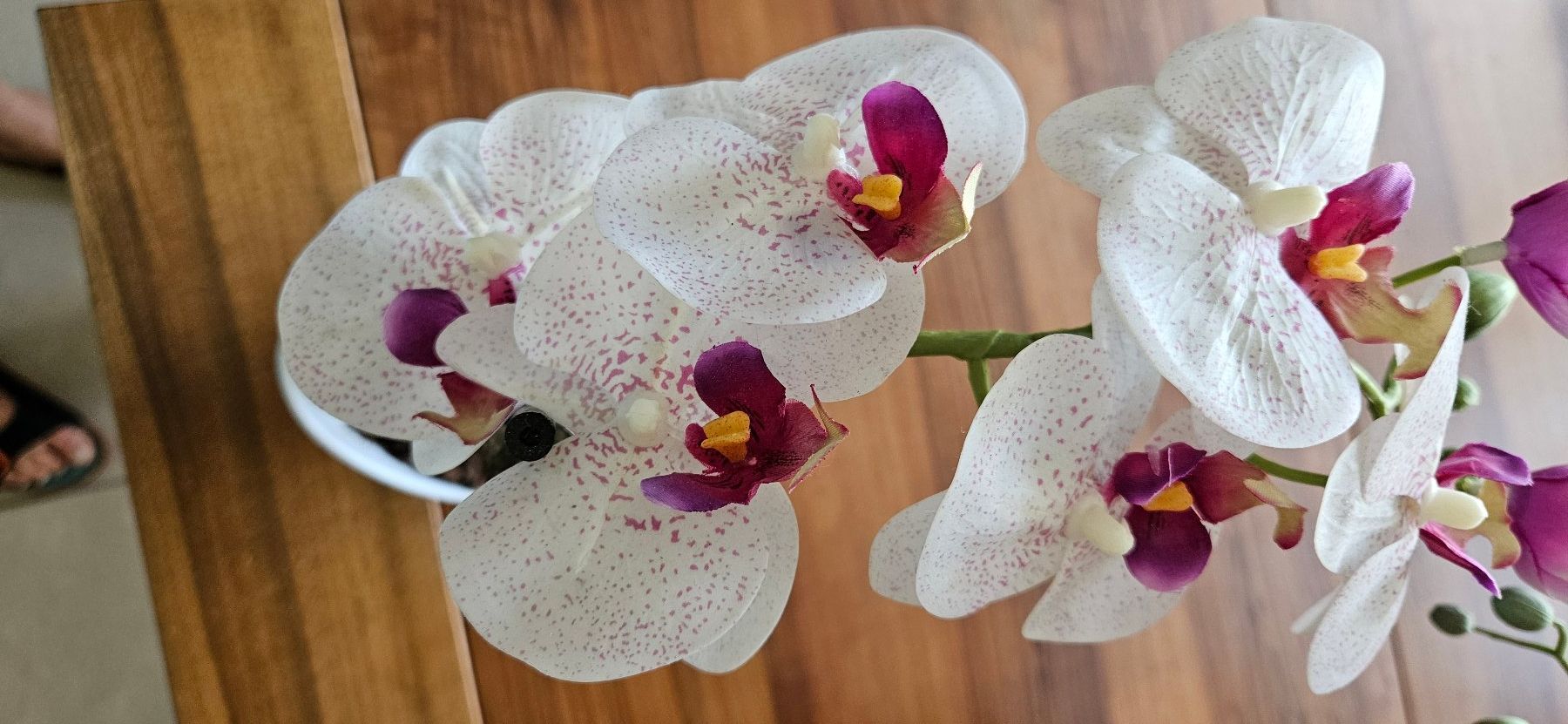 Piante & sementi: 2 Stck künstliche Orchideen – Nuovo (secondo la descrizione) da Birrwil venduto da Mischabel1 3