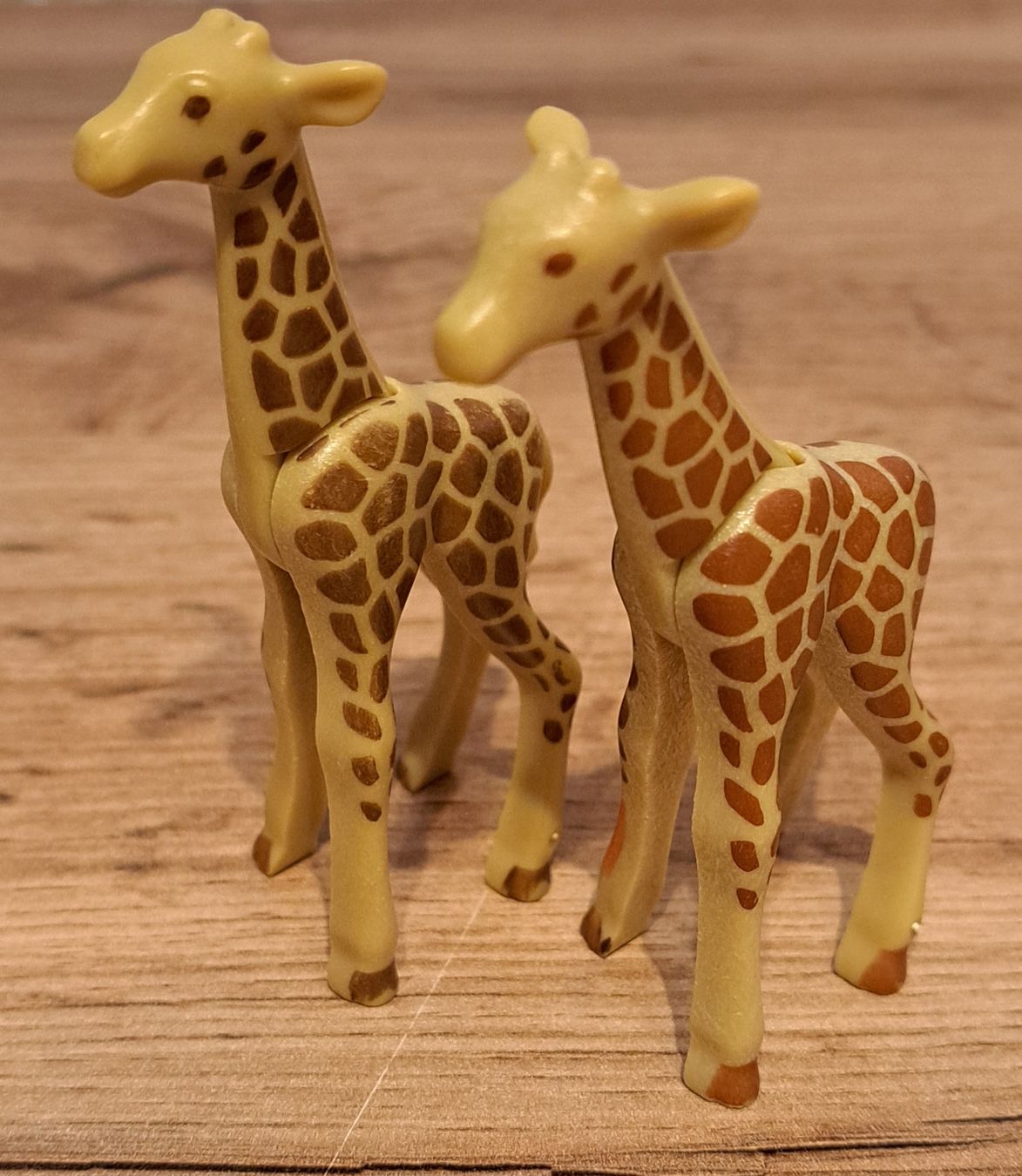 Playmobil Giocattoli: Playmobil Baby Giraffen – Usato da Thörigen venduto da leo_55vw