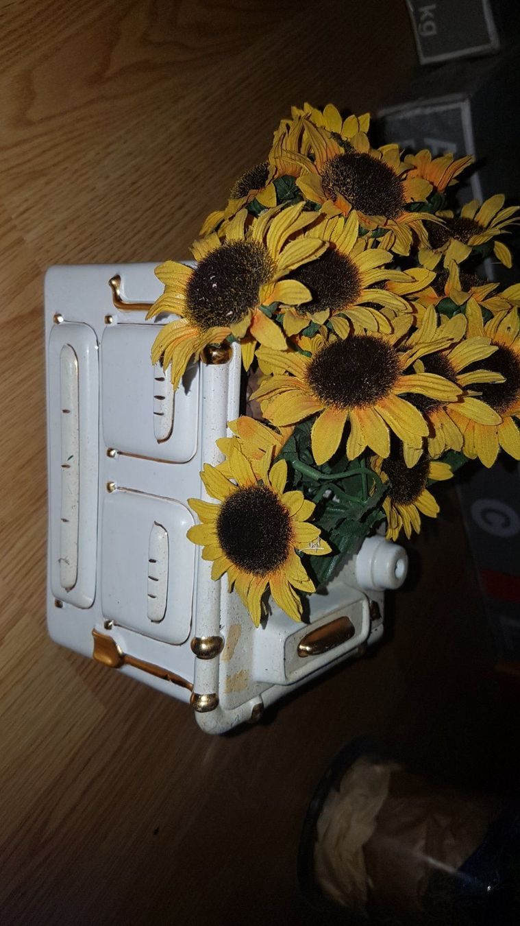 Pots de fleurs: Pflanzentopf  alter Kochherd L – D'occasion à Schwarzenburg par Sunny0290