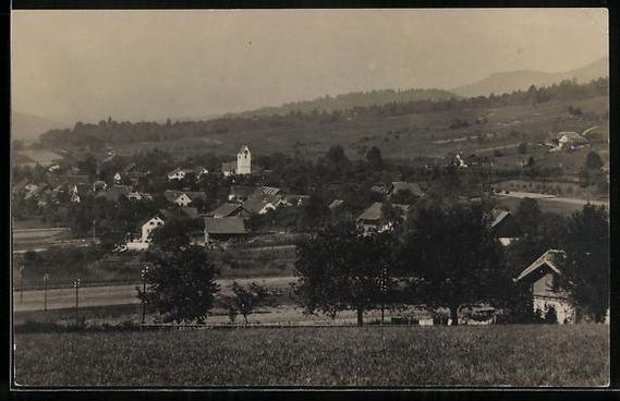 Cartoline postali: Buchs /Zürich, Teilansicht mit Bäumen – Usato da Berlin venduto da bartko-reher