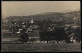 Buchs /Zürich, Teilansicht mit Bäumen