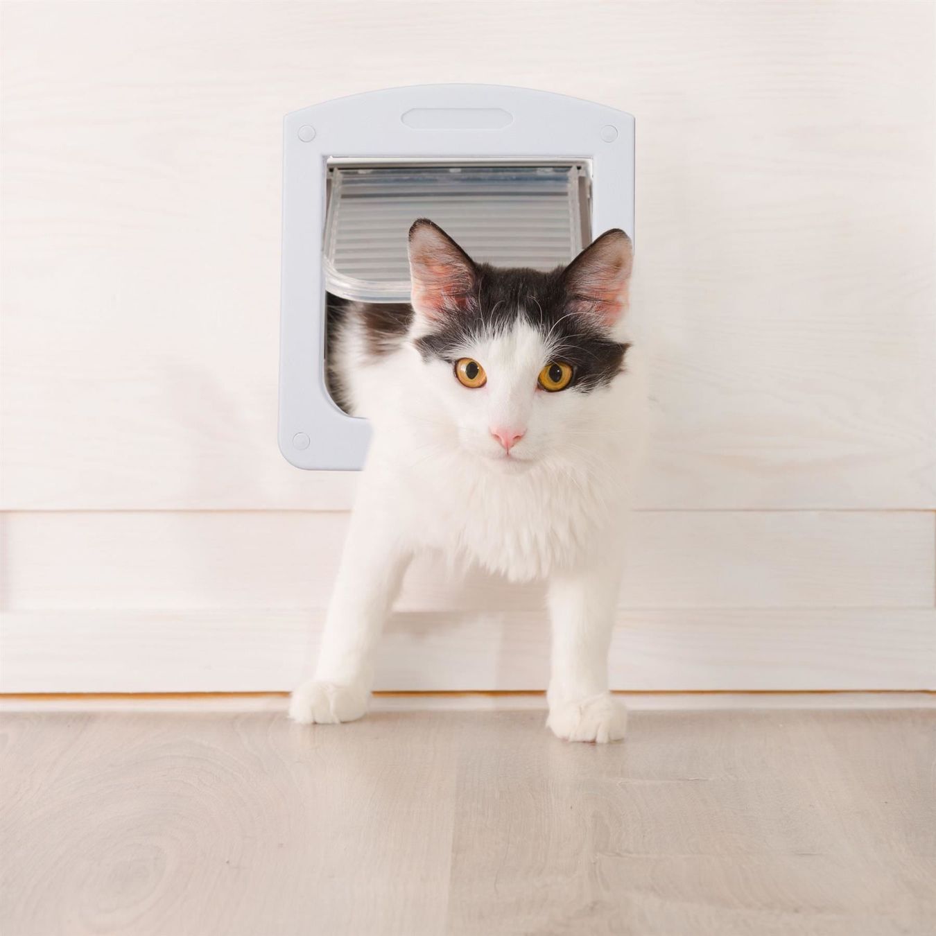 Gattaiole: KATZENKLAPPE HAUSTIERKLAPPE 4 FUNKTIONEN – Nuovo e nell'imballaggio originale da Gerlafingen venduto da Tsuru 1