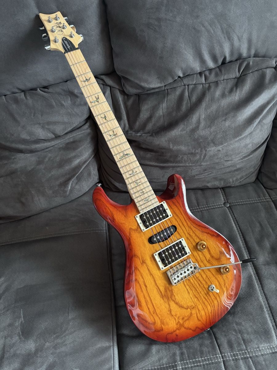 PRS Strumenti musicali: PRS Swamp Ash Special SE – Nuovo (secondo la descrizione) da uetendorf venduto da Volvorine16