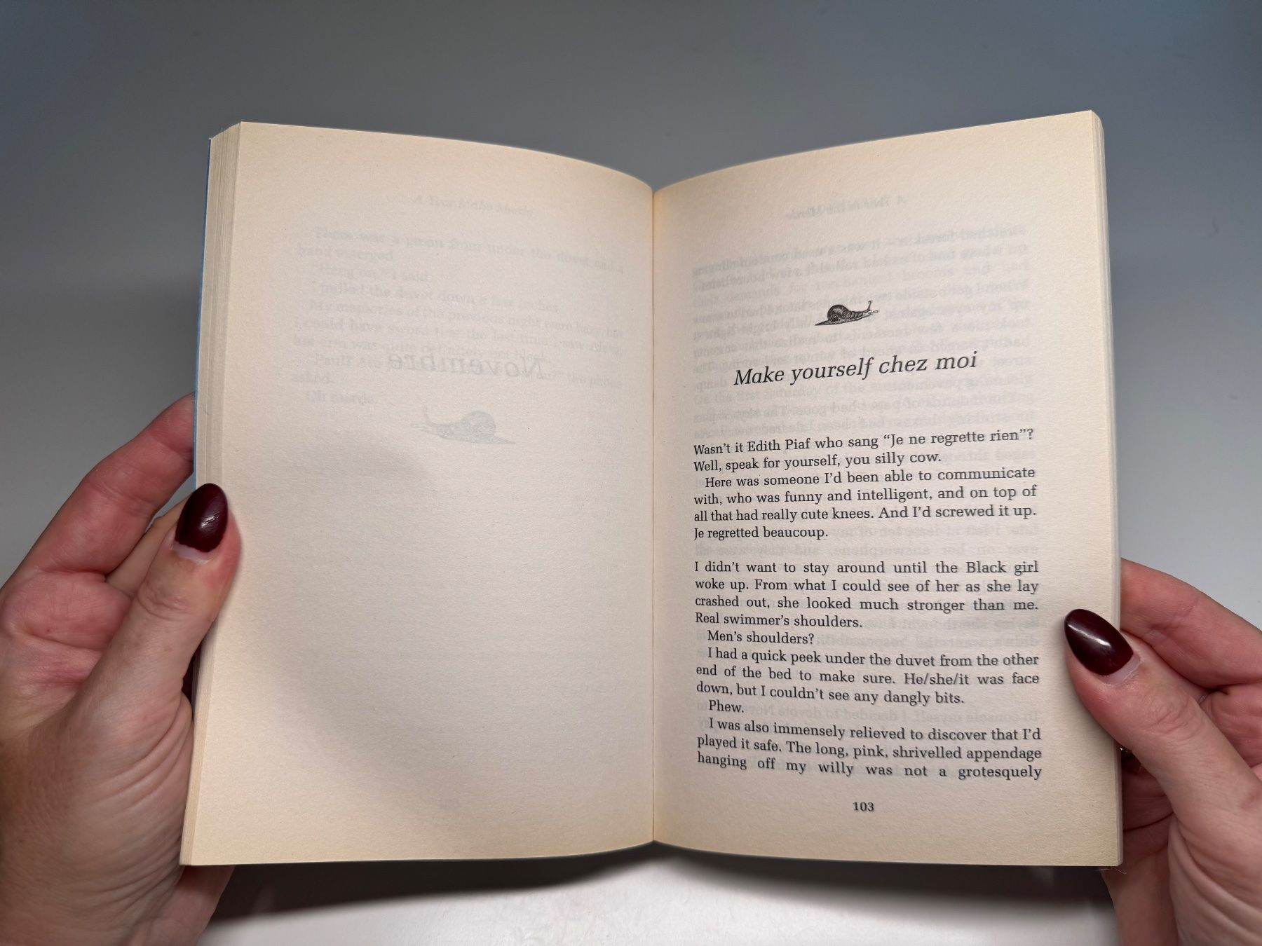 Libri: Novel: Stephen Clarke, A Year in the Merde – Usato da Grosswangen venduto da English_books 4