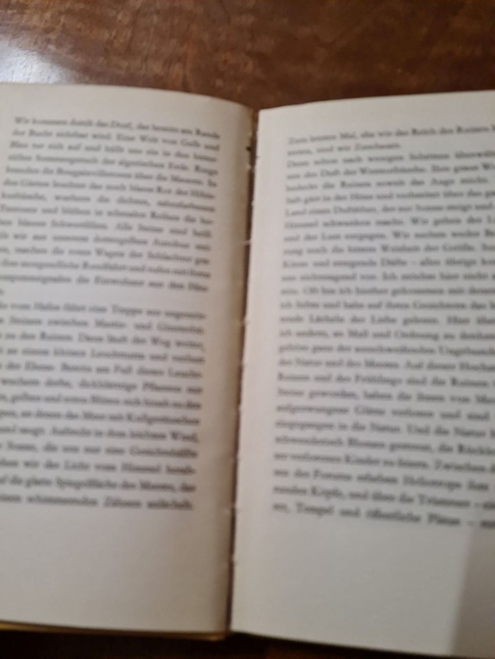 Libri: Hochzeit des Lichts – Usato da Erstfeld venduto da Uhu1980 2